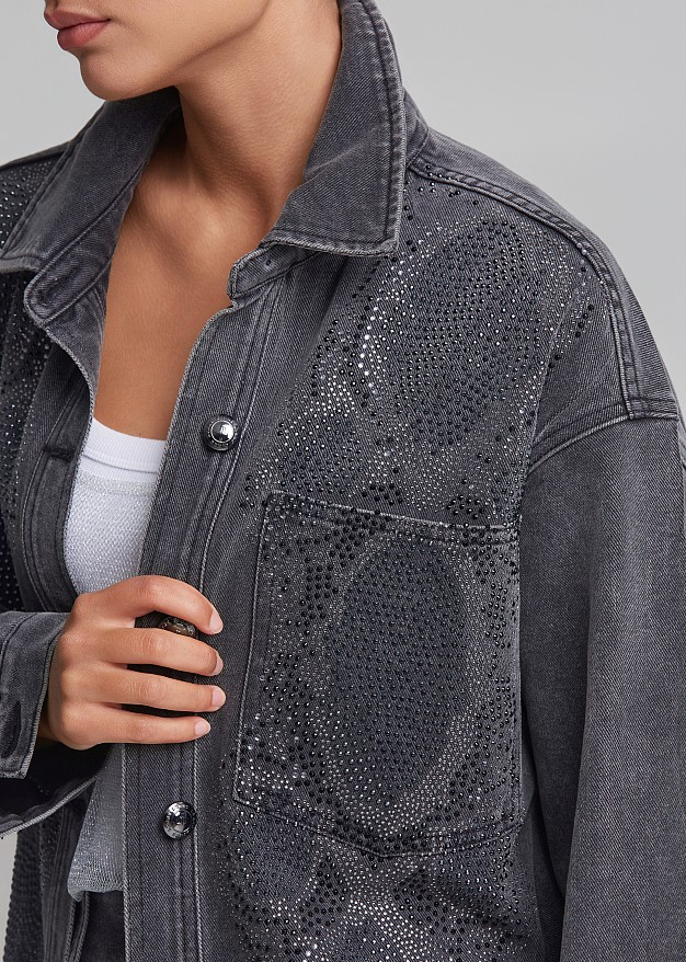 Grey denim shirt with snake-print hotfix