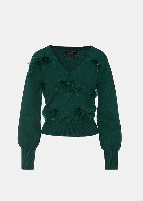 Sweater with feather embellishments