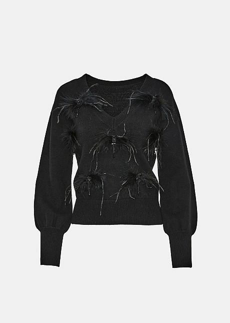 Sweater with feather embellishments