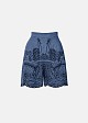 Denim shorts with embroidery