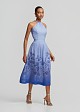 Halter neck, printed midi dress